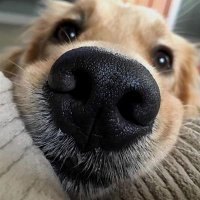 ๐๐volg jou hart ๐ฑ๐ (@doctormonkey17) 's Twitter Profile