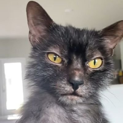 coltjayrendan's profile picture. emmanuelstopit. EMMANUEL!