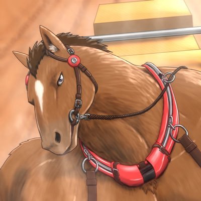 たいきさんのプロフィール画像