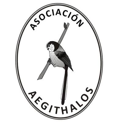 Desde nuestra #Asociación llevamos a cabo estudio científico y conservación de la naturaleza en general y de las #Aves en particular en #Guadalajara provincia.