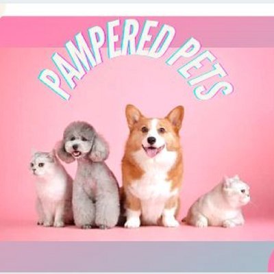 Pampered pets is a playground that cultivates community promotes joyful moments and fuels your pet lifestyle.😹🐶😻