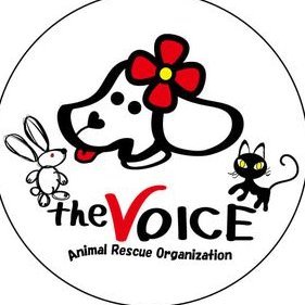 一般社団法人the VOICE（ぼいす）。犬、猫、うさぎを登録行政より引き出し、真の家族をみつける活動を核として、セミナーの企画運営、ハーネス・リードも販売 https://t.co/GrHZ3jnAGg、https://t.co/zpDhchH5cZ