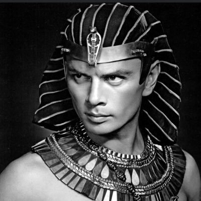 mossherhonorius's profile picture. É certo que a tristeza virá um dia, é certo que ela também irá embora, por que não se dar ao luxo de viver o propósito pelo qual ela te sobreveio, eis o mistér