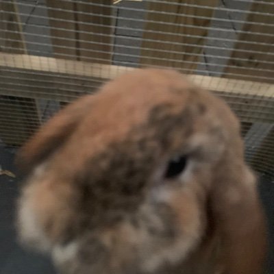 Davina55521308's profile picture. 