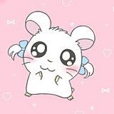 🎀 (@n_t3e) 's Twitter Profile