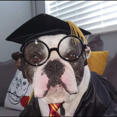 I am Mr Paulie (PHD).
Son of Bubble.
French Bulldog with a social media presence.
Twitter/Insta/TikTok/Facebook Influencer
I'm an actor, musician, psychologist.