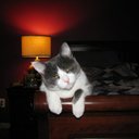 Tamara Padgett - @tspadgett873 - Twitter