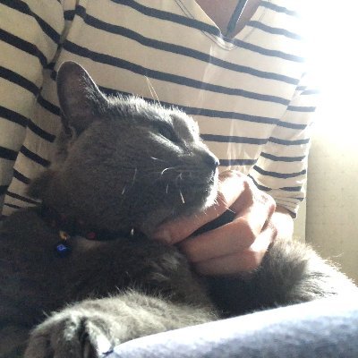 suke_mab's profile picture. フリーでSalesforce開発やってます / Salesforce４年生 / Four Star Ranger / 3x Saleforce Certified / web知識経験ゼロスタートでapexとlwc中心にお勉強中 / 最近はいろんなAppExchangeアプリ触ってます