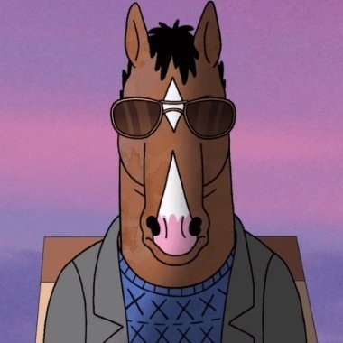 homelesshaz's profile picture. I like cats