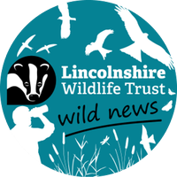 LWT Wild News (@lwtwildnews) 's Twitter Profile