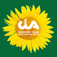 Cia FVG(@CiaFvg) 's Twitter Profile Photo