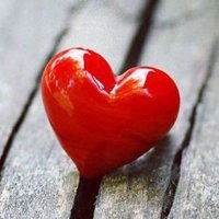 m.s (@mohamma66364555) 's Twitter Profile