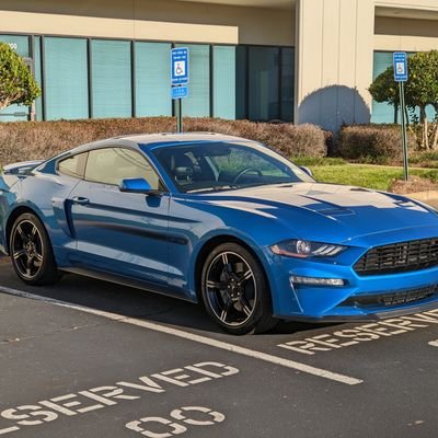 digotsu's profile picture. 