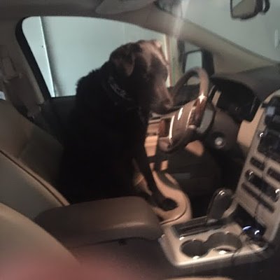 MchargIan's profile picture. 