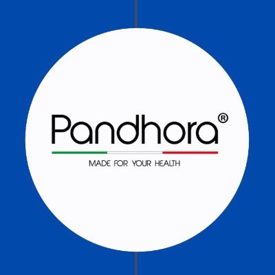 PANDHORA is an Italian company specialized in the manufacturing of innovative mobility aids, especially super light-weight wheelchairs and electric propulsors