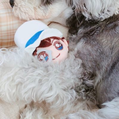 𝙮𝙤𝙞𝙝𝙞さんのプロフィール画像