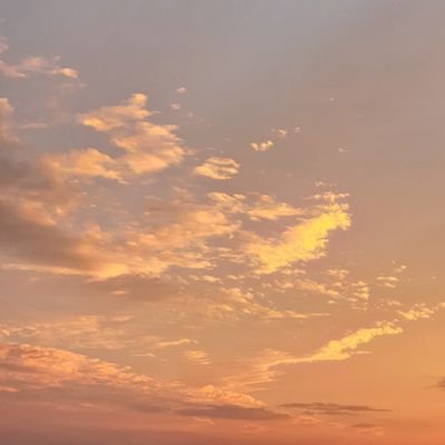 Flutterui1's profile picture.