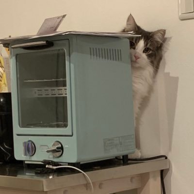 ReposMilk's profile picture. 可愛さ◎愛嬌◎優しさ◎名古屋の＠milk_repos2と@mocareposｵｰﾅｰです🙇お客様、セラピストさん、スタッフさんに毎日感謝です🙇‍♀️セラピストさんも大募集中☺️