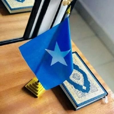 TheSomaliLad's profile picture. وَجعَلنِى مُبَارَكًا أَيْنَ مَا كُنتُ.