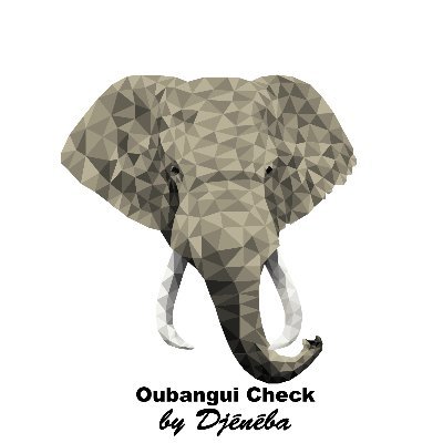 Fact-checkeuse indépendante 📝
Suivez moi sur ma page Facebook @OubanguiCheck et Instagram @oubanguicheck.