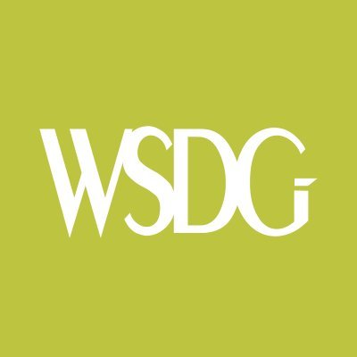 WSDG (Walters-Storyk Design Group)