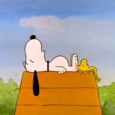dbsiskxa's profile picture. 구독만 합니다🤍
불편하면 차단해주세요 블블하면 다시 팔로할 수도 있어요