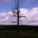 Scott Immekus - @rock815 - Twitter