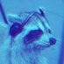 𝜥𝖔𝖔𝝒 ζ҉ 𝖔𝖔 (@koonzoo1) Twitter profile photo 𝜥𝖔𝖔𝝒 ζ҉ 𝖔𝖔 (@koonzoo1) Twitter profile photo