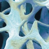 Therapeutic Advances in Musculoskeletal Disease (@tamuscdis) 's Twitter Profile Photo