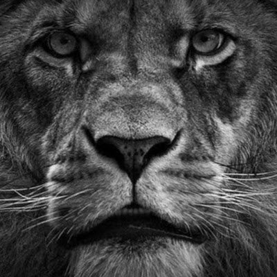 Alex_Rogov_js's profile picture.