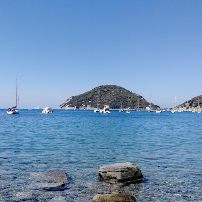 FawziDragon's profile picture. 