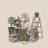 AmiraEb07228633's profile image