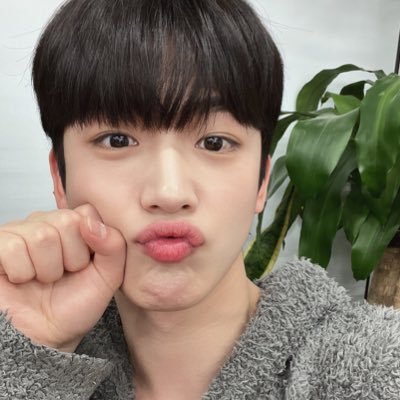 #위아이 @WEi__Official #엔하이픈 @ENHYPEN #세븐틴 @pledis_17 #아이브 @IVEstarship | @jungwnsz @ywoniecrt