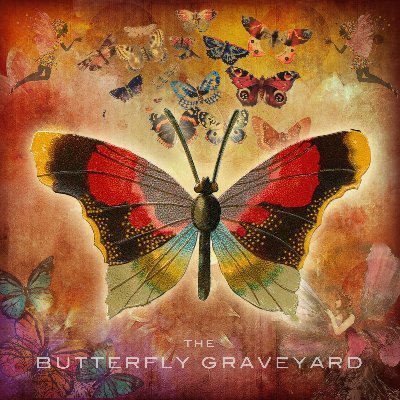 The Butterfly Graveyard