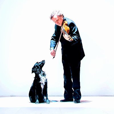 pontalexandre3's profile picture. Musicien