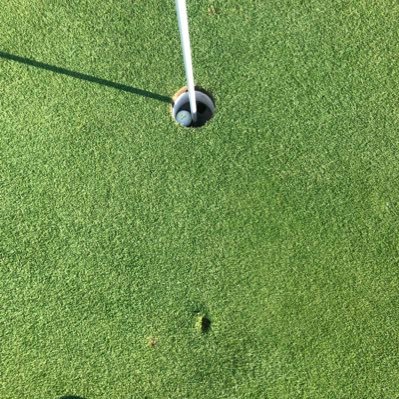 YerkesTed's profile picture. Golf nut/Dallas Cowboys, Purdue Boilermakers.