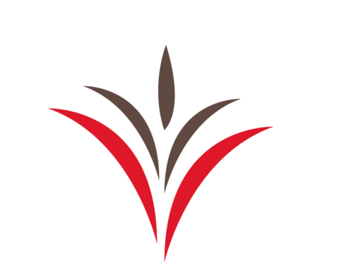 Embrace
Encourage
Equip
Empower