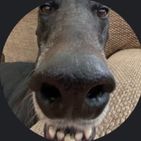 Arce (Taylor's Hater) (@_arce_62) 's Twitter Profile
