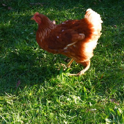 AnnaPlewka's profile picture. 