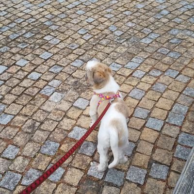 wVssJj9IMz1hovf's profile picture. 