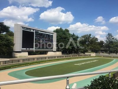 競馬好きの父のため、遊びに連れて行ってもらったのは、競馬場と川口オートレース場しか記憶がなく、自分の名前も書けない年齢で、オートレース選手や騎手の名前は漢字でかけるようになる。
小学４年生の頃から研究をはじめ、ためたノートは段ボール２箱。みなさんの予想法なども参考に、毎週楽しみたいと思っています。