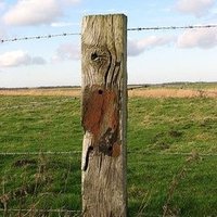 I Love Your Post (@iloveyourpost1) 's Twitter Profile