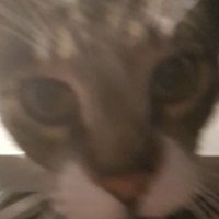 Bent246 (@lolbent246) Twitter profile photo