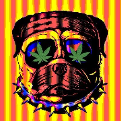 CBDDogUK Profile Picture