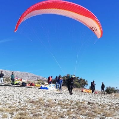 antsol9's profile picture. Nul