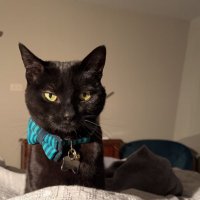 Joe (@cupofjoe_6) 's Twitter Profile