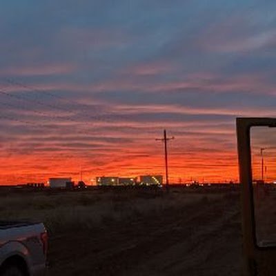 429Jeoz's profile picture. 