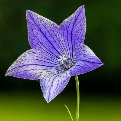 aga_basar's profile picture. When you feel like no one listening to you , pray. God is the best listener.