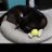 rabaji60up's profile image