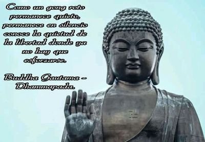 RobertoBitton1's profile picture. 